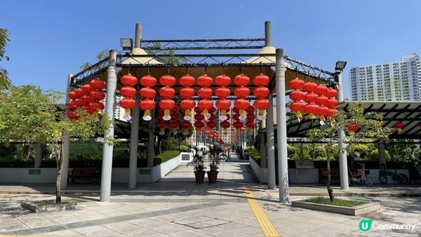 沙田景點-沙田公園