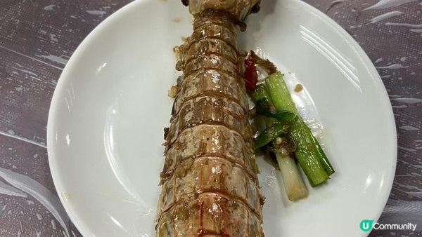 嘩！嘩！嘩！隻瀨尿蝦手臂咁長😱呢餐全海鮮宴真係無得輸👏「性價比」爆燈💡