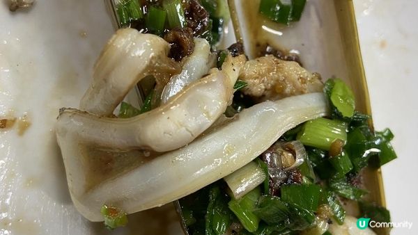 嘩！嘩！嘩！隻瀨尿蝦手臂咁長😱呢餐全海鮮宴真係無得輸👏「性價比」爆燈💡