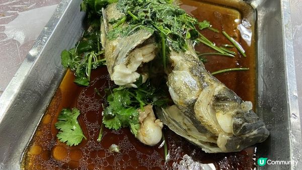 嘩！嘩！嘩！隻瀨尿蝦手臂咁長😱呢餐全海鮮宴真係無得輸👏「性價比」爆燈💡