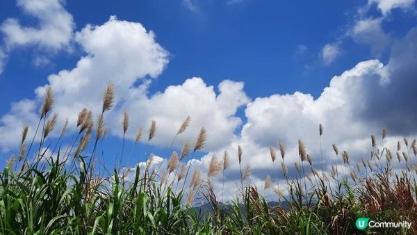【石澳行山篇】鶴咀機槍堡、鶴咀山、石澳情人橋、大頭洲