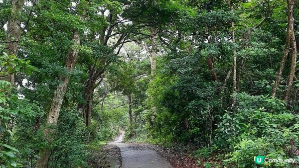 【大嶼山行山篇】石壁郊遊徑➕大浪灣沙灘
