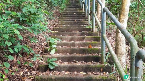 【荃灣至青龍頭行山篇】大欖涌引水道、風門山、深井沉澱塘