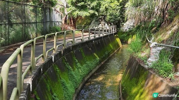 【荃灣至青龍頭行山篇】大欖涌引水道、風門山、深井沉澱塘