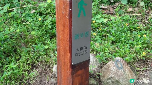 【荃灣至青龍頭行山篇】大欖涌引水道、風門山、深井沉澱塘