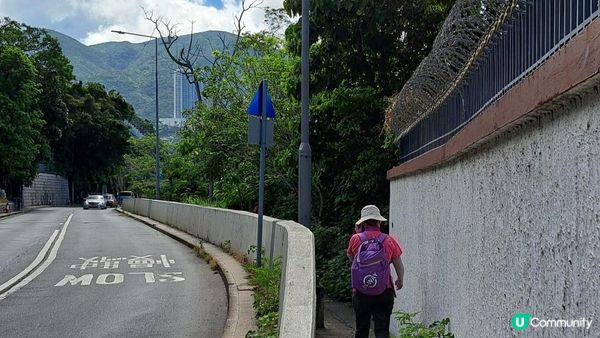 《海洋公園站至南灣泳灘沿海遊》苗鐘徑、深水灣、麗海堤岸路、淺水灣、中灣泳灘、南灣泳灘