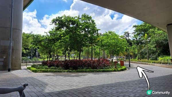 《海洋公園站至南灣泳灘沿海遊》苗鐘徑、深水灣、麗海堤岸路、淺水灣、中灣泳灘、南灣泳灘