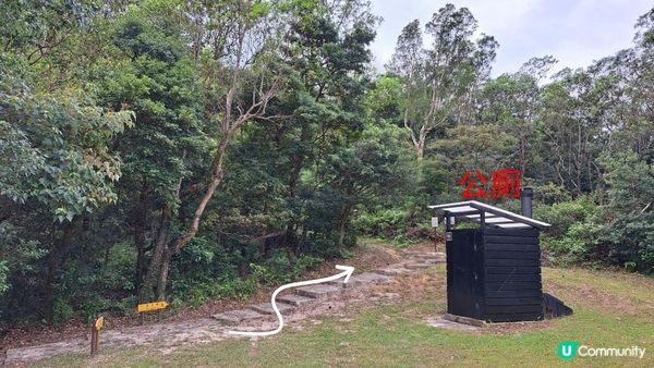 《大嶼山羌山道至大澳行山篇》觀音山、羌山、龍仔