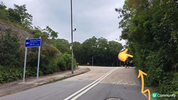 《大嶼山羌山道至大澳行山篇》觀音山、羌山、龍仔