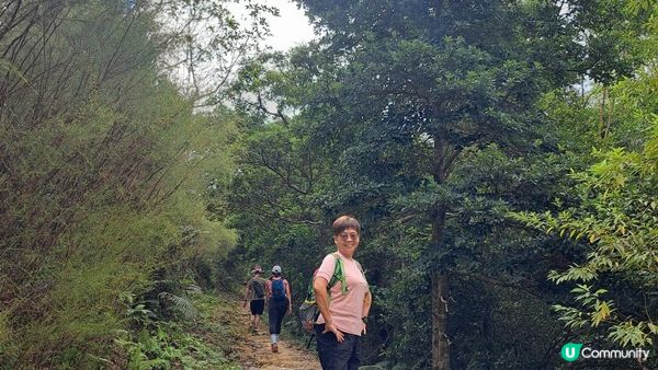 《大嶼山羌山道至大澳行山篇》觀音山、羌山、龍仔