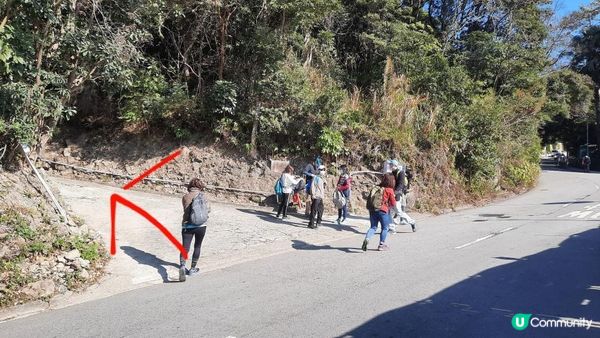 【飛鵝山道1號至慈正邨行山篇】A字崖、鸚鵡咀石、自殺崖、飛鵝山、慈觀古道