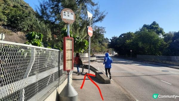 【飛鵝山道1號至慈正邨行山篇】A字崖、鸚鵡咀石、自殺崖、飛鵝山、慈觀古道