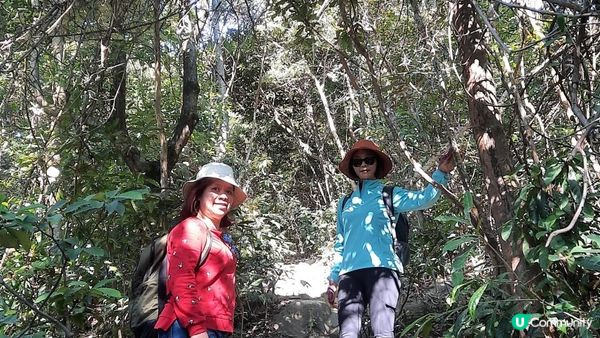 【飛鵝山道1號至慈正邨行山篇】A字崖、鸚鵡咀石、自殺崖、飛鵝山、慈觀古道