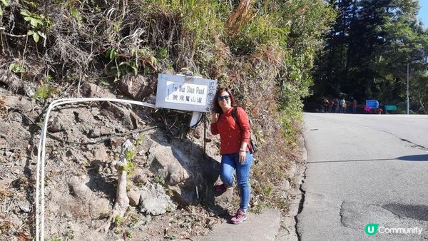 【飛鵝山道1號至慈正邨行山篇】A字崖、鸚鵡咀石、自殺崖、飛鵝山、慈觀古道