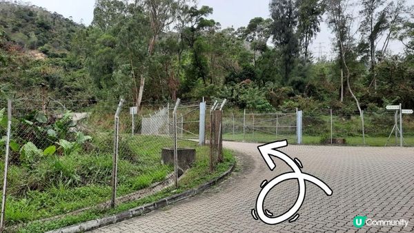 【屯門行山篇】疊石頂、方包石、花香爐頂、豬仔石/十字星室