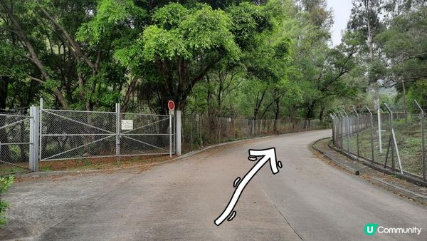 【屯門行山篇】疊石頂、方包石、花香爐頂、豬仔石/十字星室