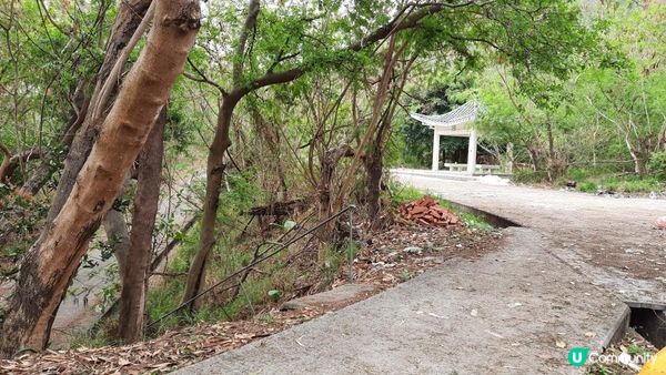 【屯門行山篇】疊石頂、方包石、花香爐頂、豬仔石/十字星室