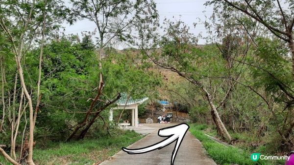 【屯門行山篇】疊石頂、方包石、花香爐頂、豬仔石/十字星室