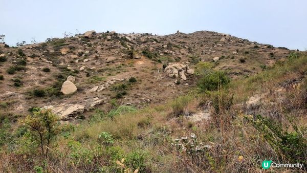 【屯門行山篇】疊石頂、方包石、花香爐頂、豬仔石/十字星室