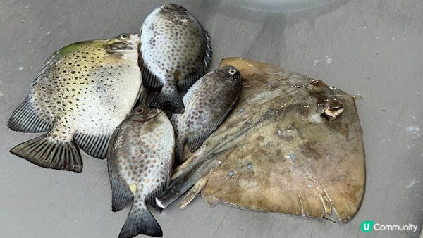 沙巴熱辣遊 Day 6 - 丹絨亞路海灘及夜市