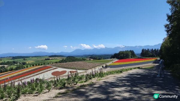 而隻公仔真係令人風暴！爆煲！