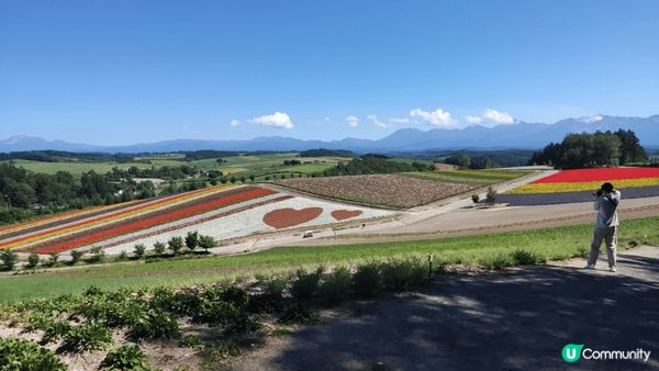 而隻公仔真係令人風暴！爆煲！