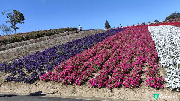 而隻公仔真係令人風暴！爆煲！