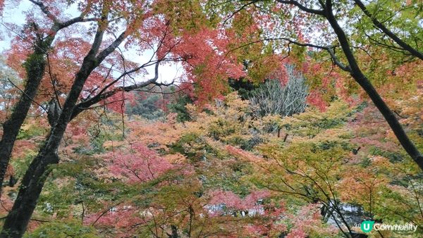四國 栗林公園 市內 大景點 優閒 人少  值得一看  付費...
