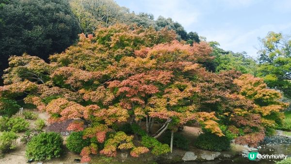 四國 栗林公園 市內 大景點 優閒 人少  值得一看  付費...