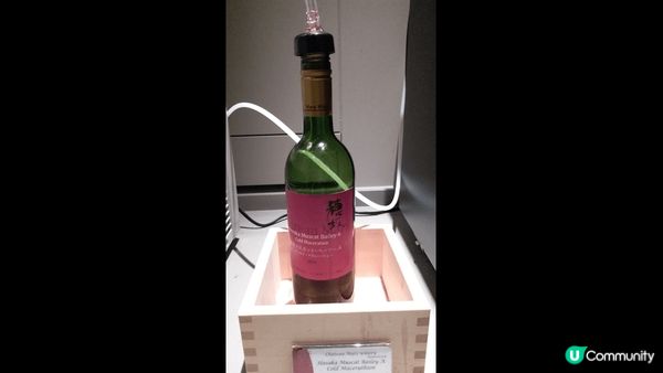 成田機場的貴賓室，雖然衹有少數小食，但酒類卻還可以，值得一試...