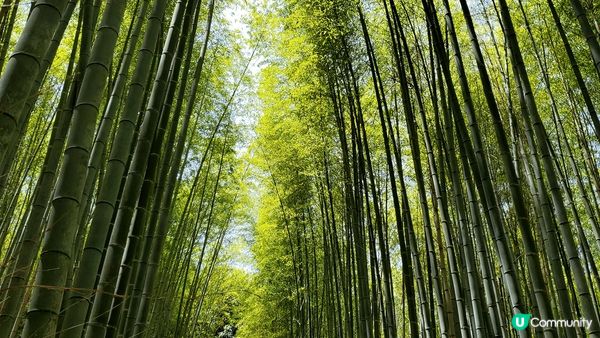 日本大阪 & 京都之旅