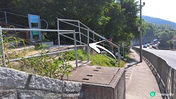 《伯公坳至東涌行山篇》🌾大東山芒草季節2022