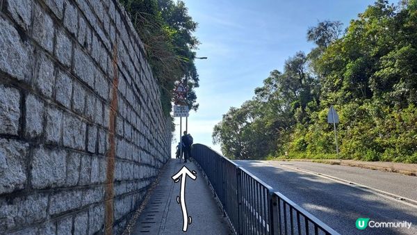 《伯公坳至東涌行山篇》🌾大東山芒草季節2022