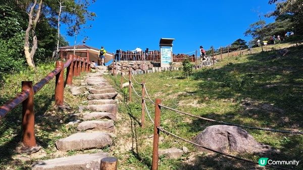 《伯公坳至東涌行山篇》🌾大東山芒草季節2022