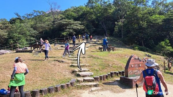 《伯公坳至東涌行山篇》🌾大東山芒草季節2022