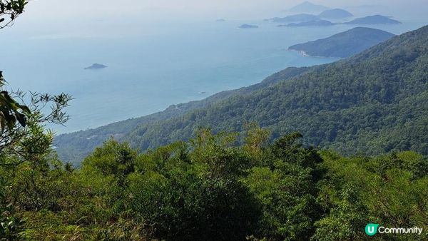 《伯公坳至東涌行山篇》🌾大東山芒草季節2022