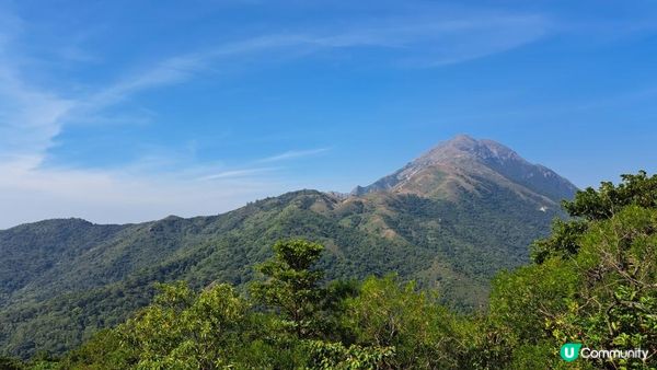 《伯公坳至東涌行山篇》🌾大東山芒草季節2022