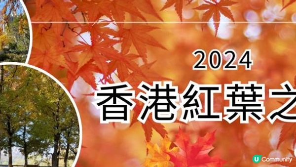 【2024年香港紅葉之旅】6個不可錯過的絕美景點！