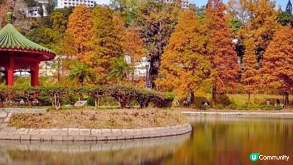 【2024年香港紅葉之旅】6個不可錯過的絕美景點！