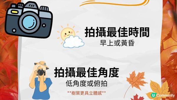 【2024年香港紅葉之旅】6個不可錯過的絕美景點！