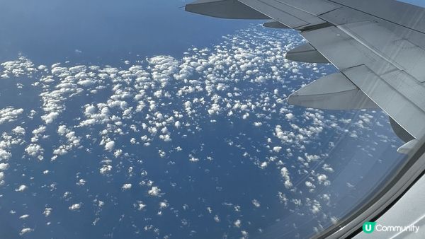 日本東京之旅，新宿地度串燒小食。豬豬cafe。