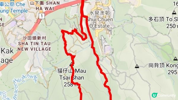 《沙田圍行山篇》蝌蚪坪、貓仔山、觀貓台、貓仔石、雞胸山、慈沙