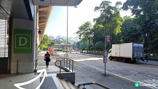 《沙田圍行山篇》蝌蚪坪、貓仔山、觀貓台、貓仔石、雞胸山、慈沙