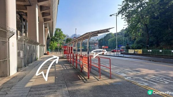 《沙田圍行山篇》蝌蚪坪、貓仔山、觀貓台、貓仔石、雞胸山、慈沙