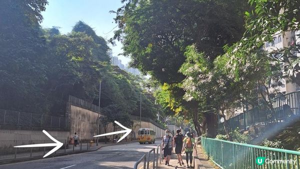 《沙田圍行山篇》蝌蚪坪、貓仔山、觀貓台、貓仔石、雞胸山、慈沙