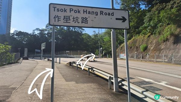 《沙田圍行山篇》蝌蚪坪、貓仔山、觀貓台、貓仔石、雞胸山、慈沙