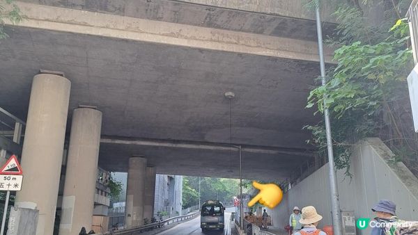 《沙田圍行山篇》蝌蚪坪、貓仔山、觀貓台、貓仔石、雞胸山、慈沙