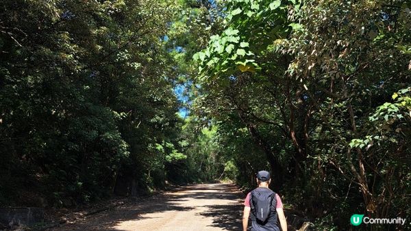 《沙田圍行山篇》蝌蚪坪、貓仔山、觀貓台、貓仔石、雞胸山、慈沙