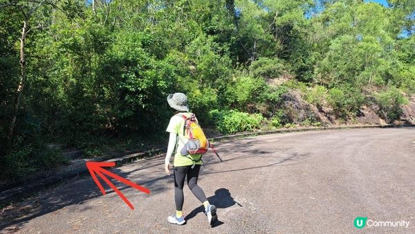 《沙田圍行山篇》蝌蚪坪、貓仔山、觀貓台、貓仔石、雞胸山、慈沙