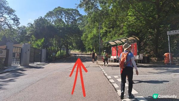 《沙田圍行山篇》蝌蚪坪、貓仔山、觀貓台、貓仔石、雞胸山、慈沙